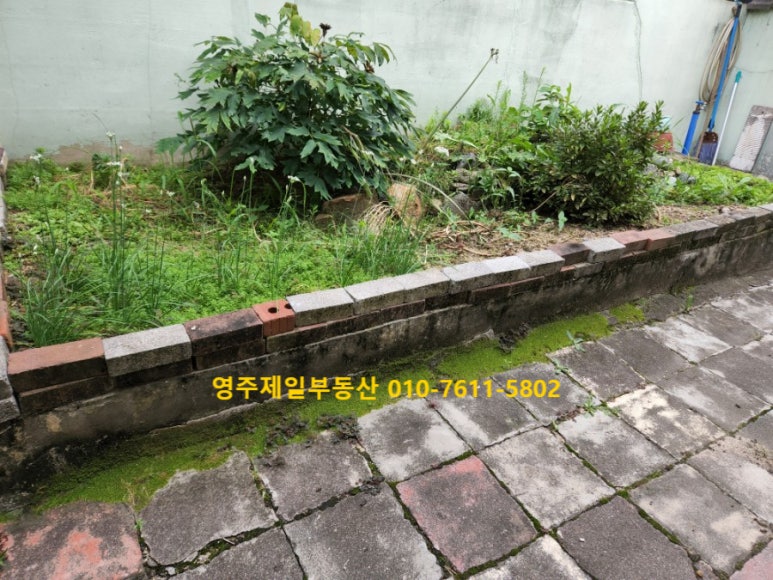 삼일주유소 이미지