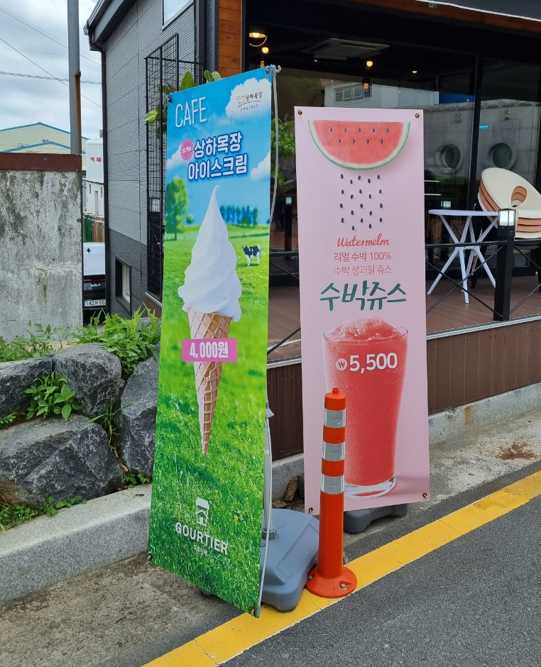 구르띠에 이미지