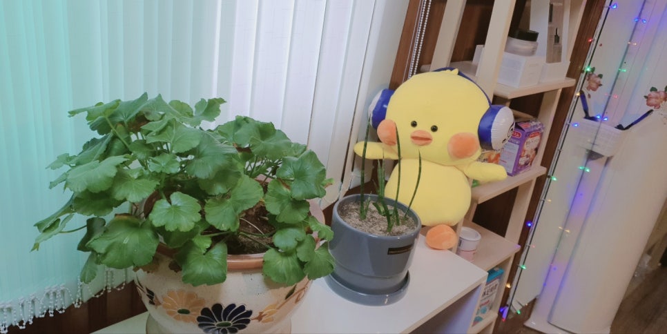 연중국정통마사지 이미지