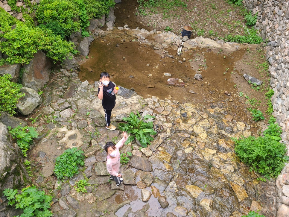 명품황금오리알 이미지
