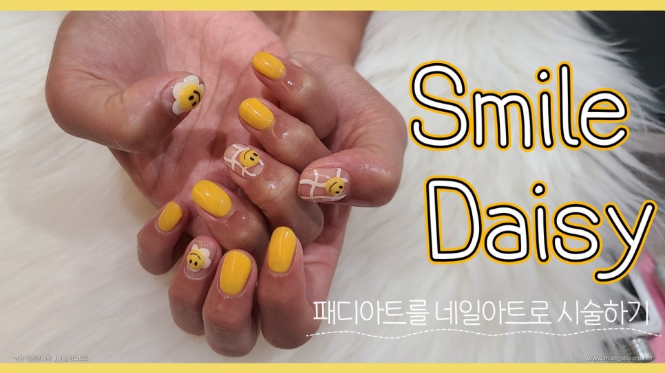스마일데이지(Smile Daisy) 이미지