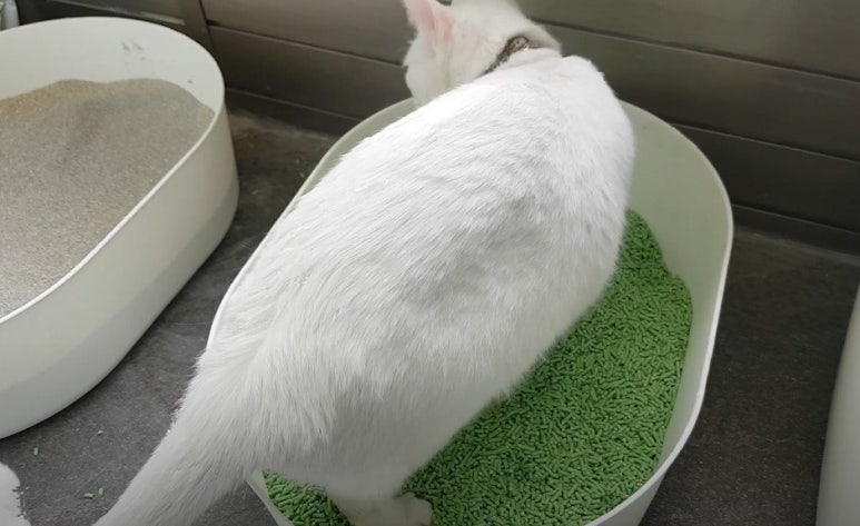 모래틈 이미지