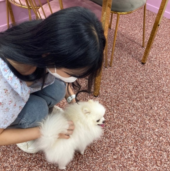 푸르티아 이미지