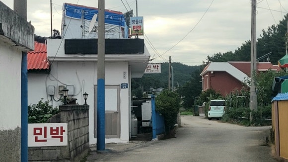 방울네 이미지