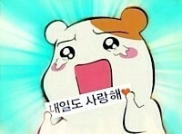 백마야장소곱창 이미지
