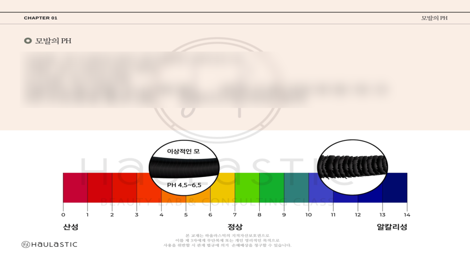 원리서치 이미지