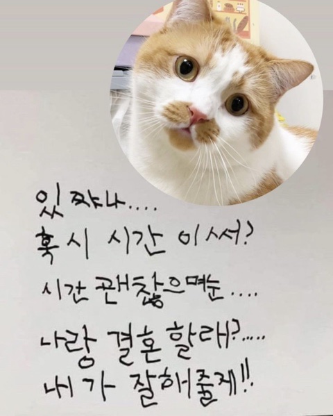 션사인 이미지