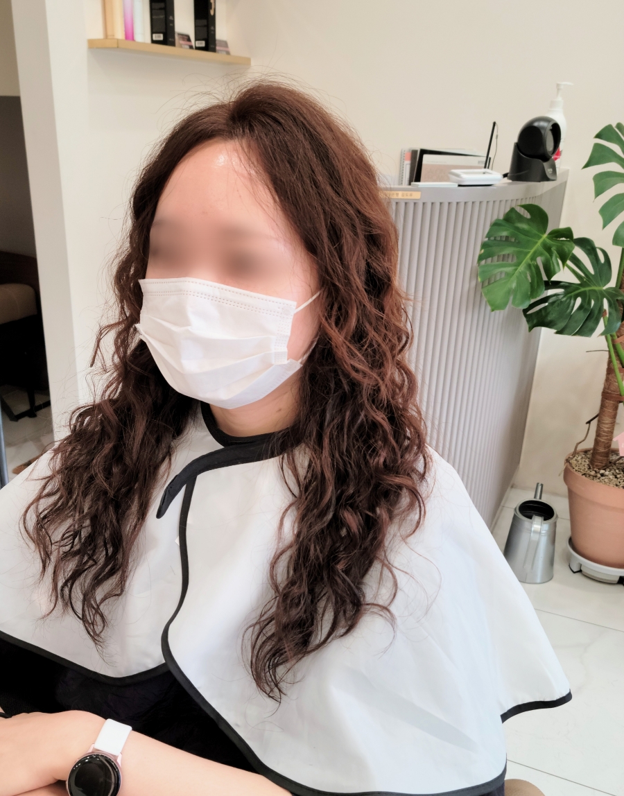 도유보네르 이미지