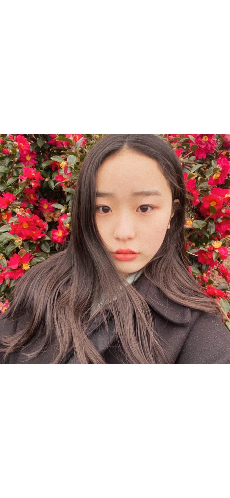 마메드러 이미지