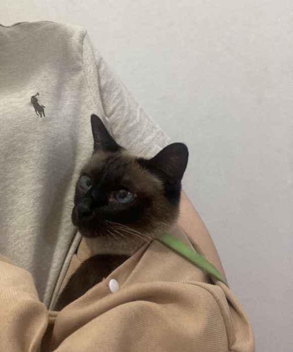 혜리콩 이미지