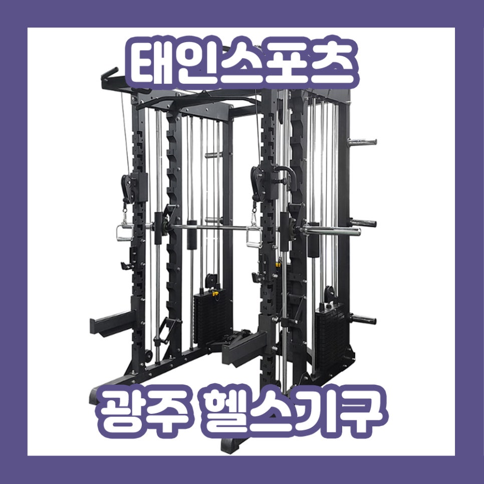 태인스포츠 이미지
