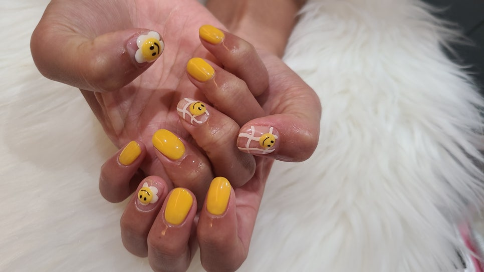 스마일데이지(Smile Daisy) 이미지