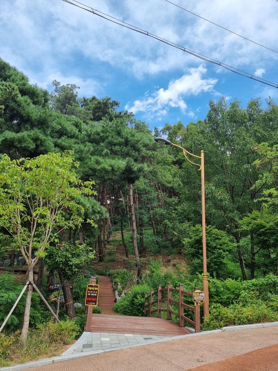 대구 특성화고등학교 종류와 특징 : 네이버 블로그 대구 특성화고등학교 종류와 특징 : 네이버 블로그