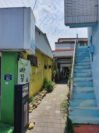 빠끔사리 이미지