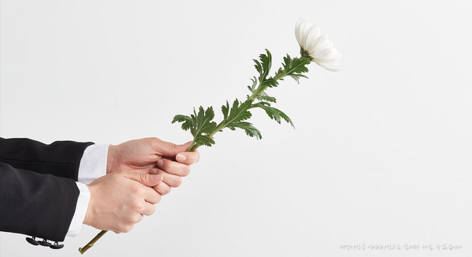 중앙장의사 이미지