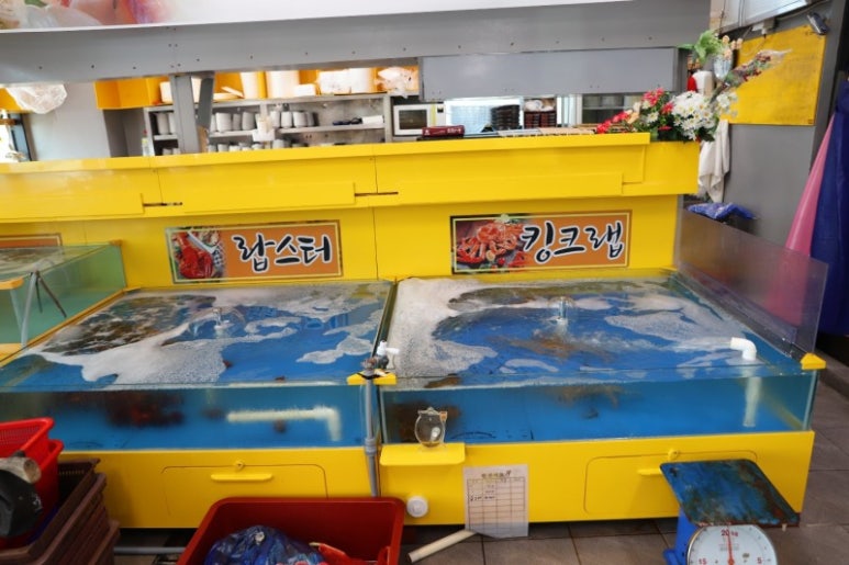 뉴모닝연륙교지점 이미지
