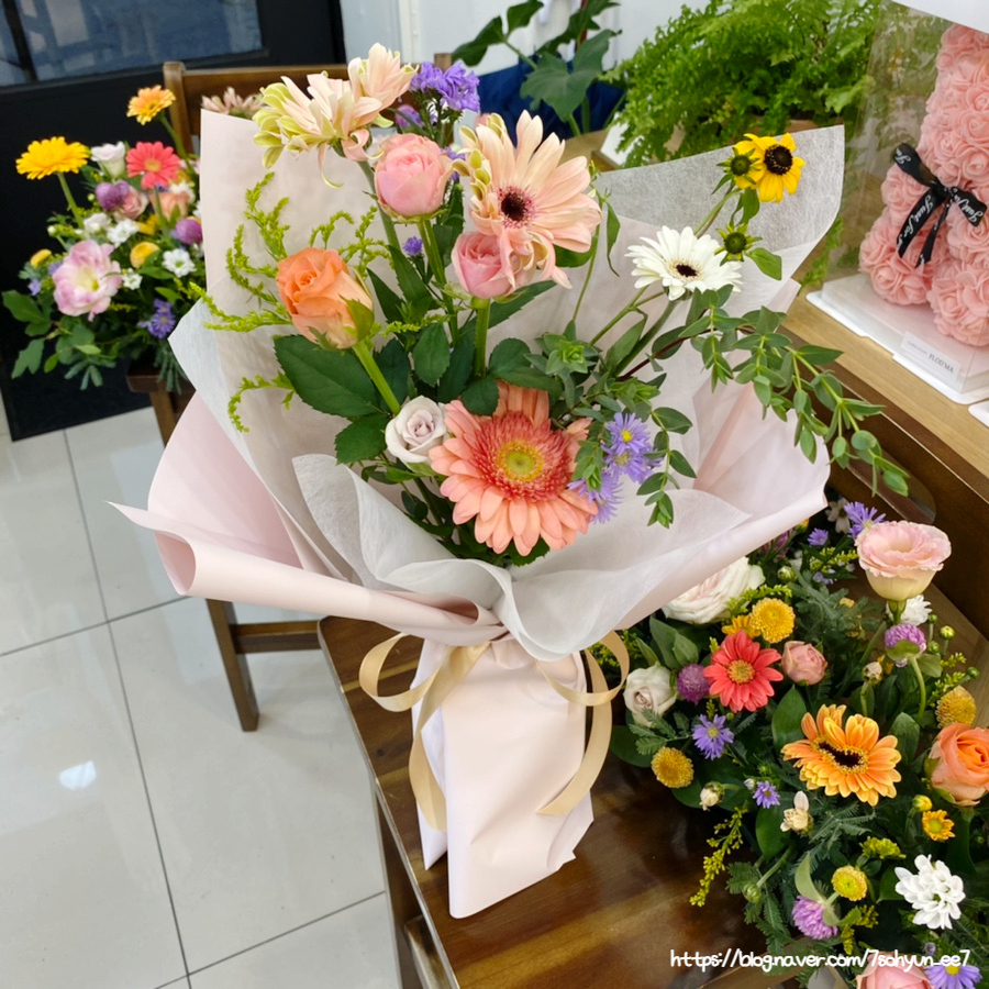플로드마 이미지