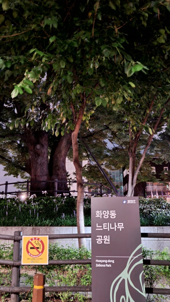 화양정 이미지