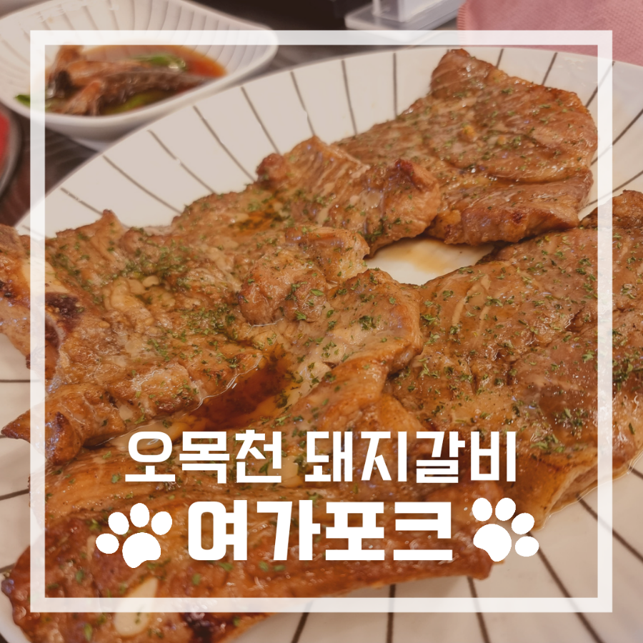 여가포크 이미지