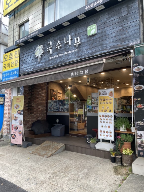 국수나무충남 이미지