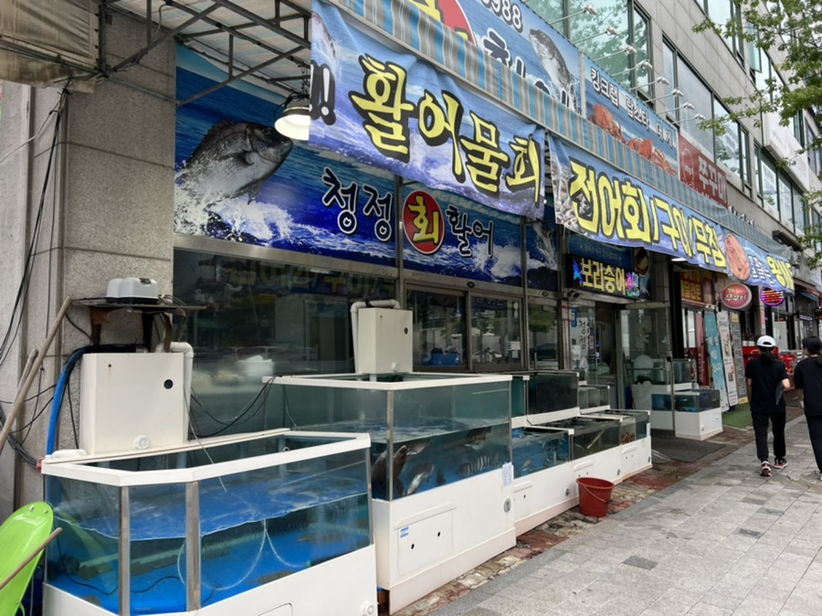 청정회타운 이미지