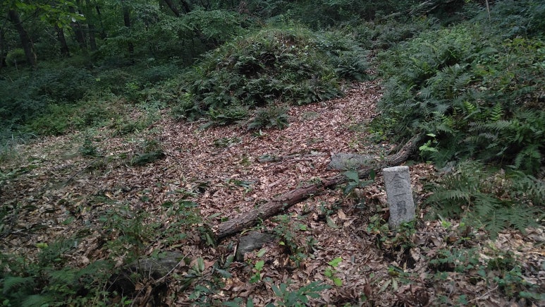 이현방 이미지