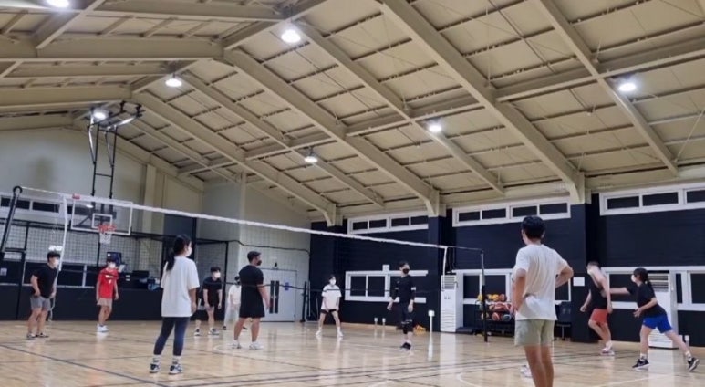 배구레슨전문LHJ컴퍼니 이미지