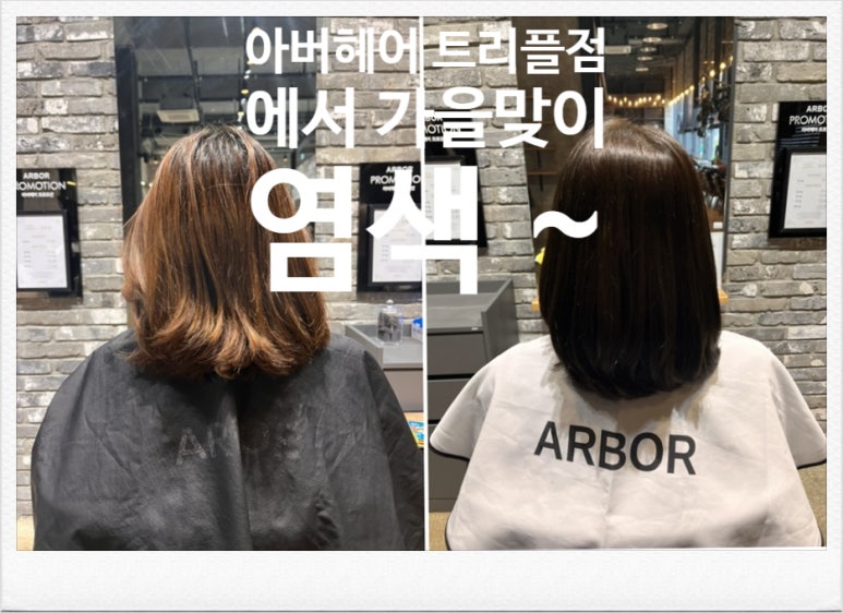 아버헤어트리플 이미지