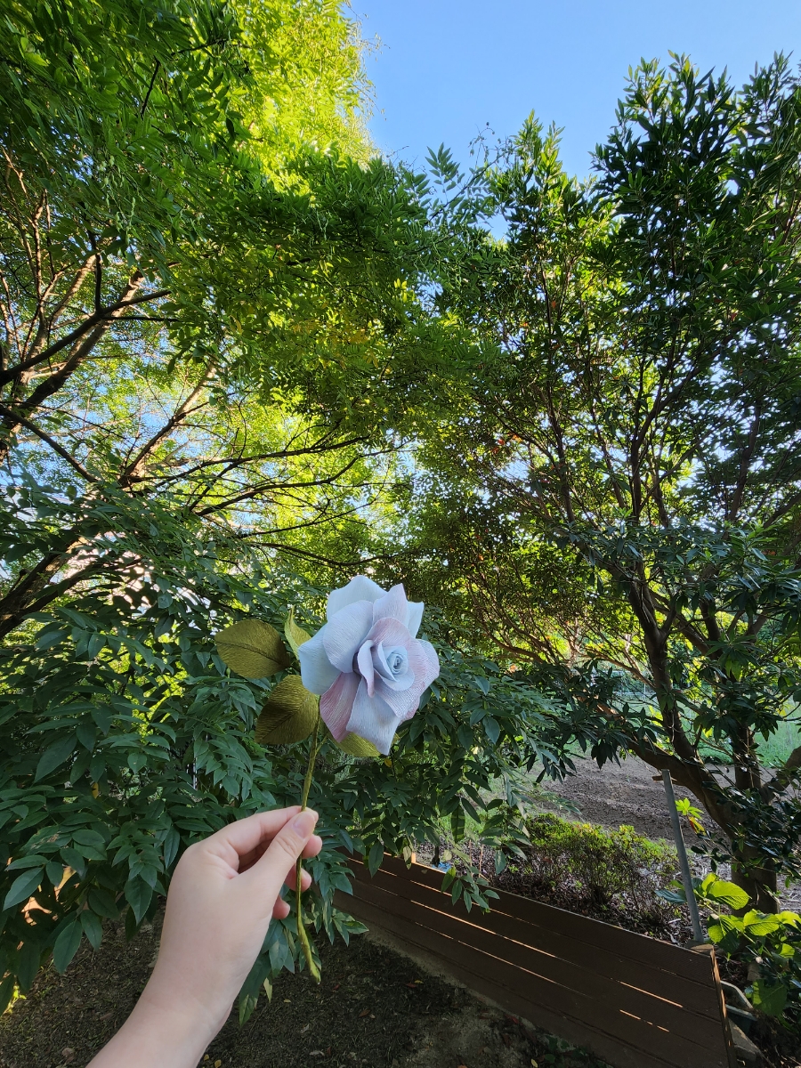 나비플라워제주 이미지