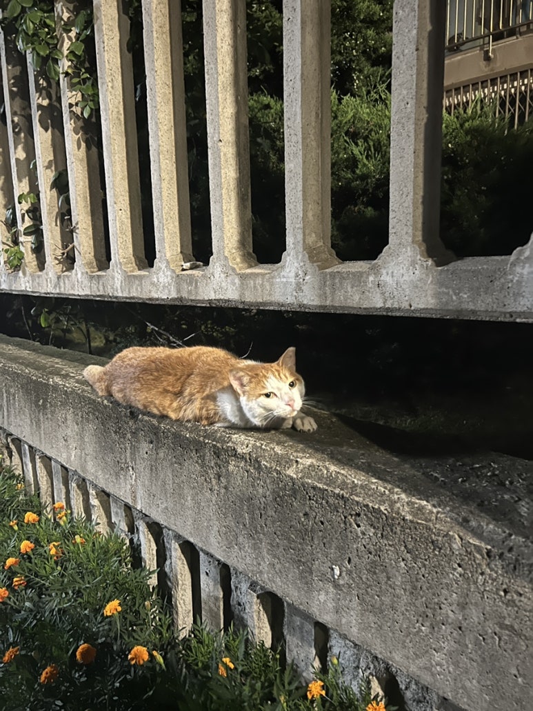 리버홀덤펍 이미지