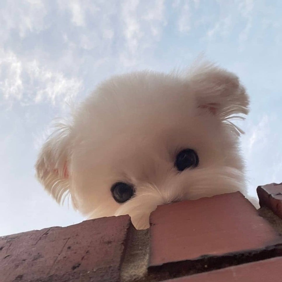 넌 이미지