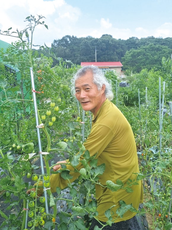 홍전기조명 이미지