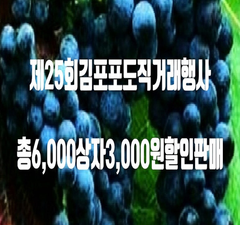 석모1호 이미지