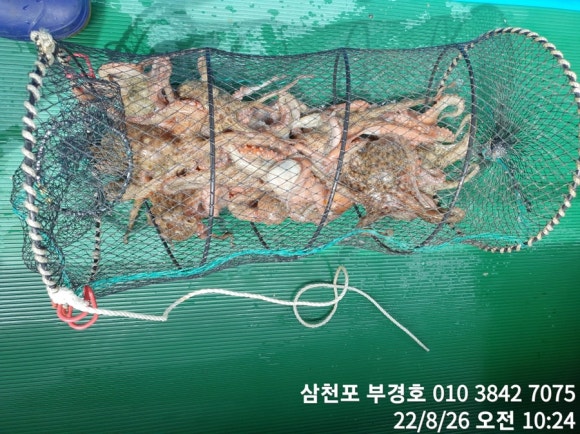 부경호 이미지