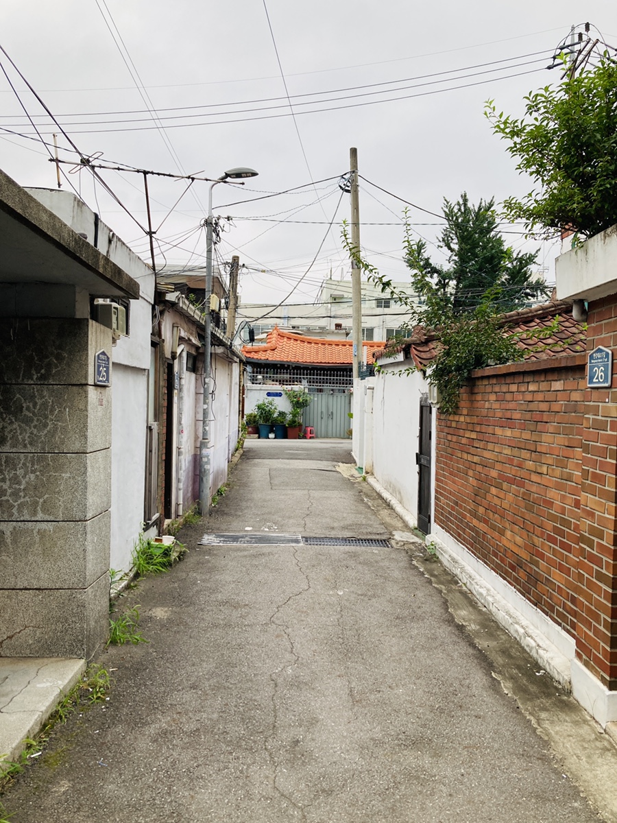 노래하는오렌지 이미지