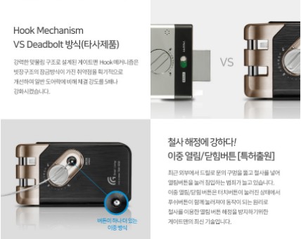 태람 이미지