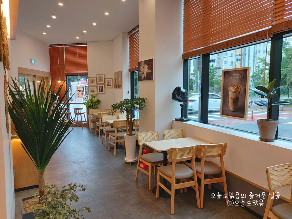 모리커피서귀포혁신도시점 이미지