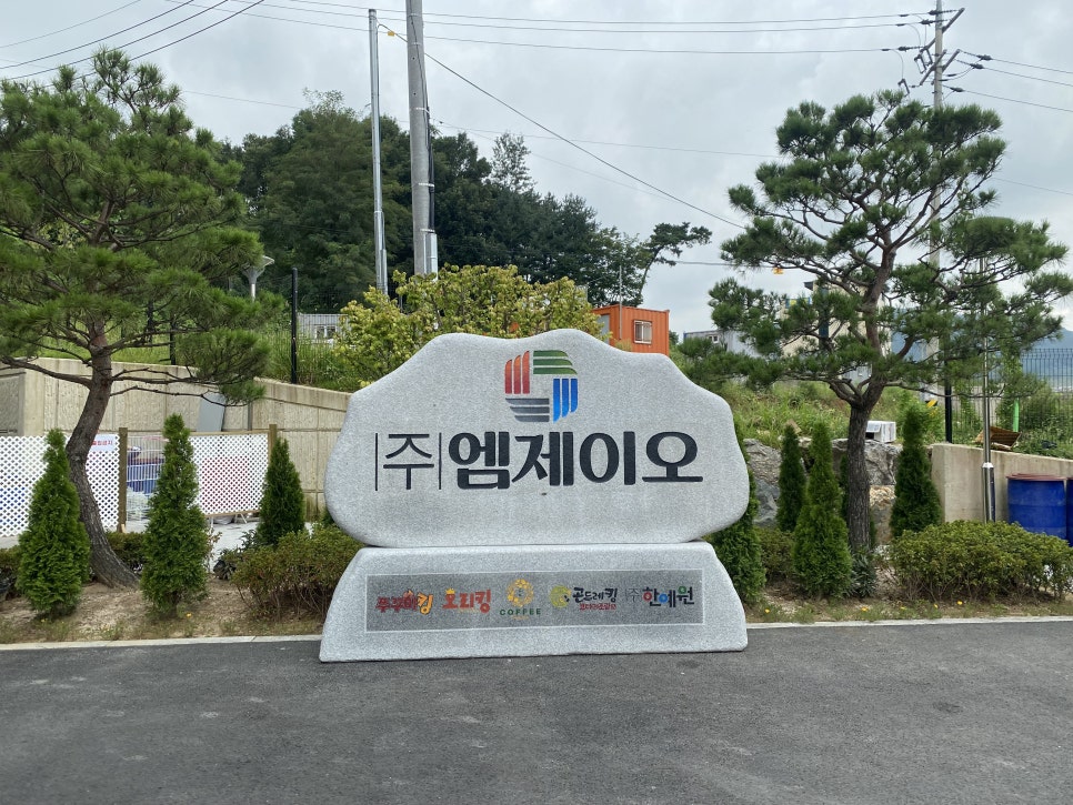 엠제이오 이미지