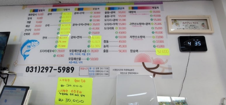 회조아 이미지