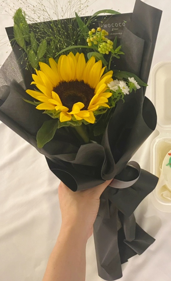 모코코플레르 이미지