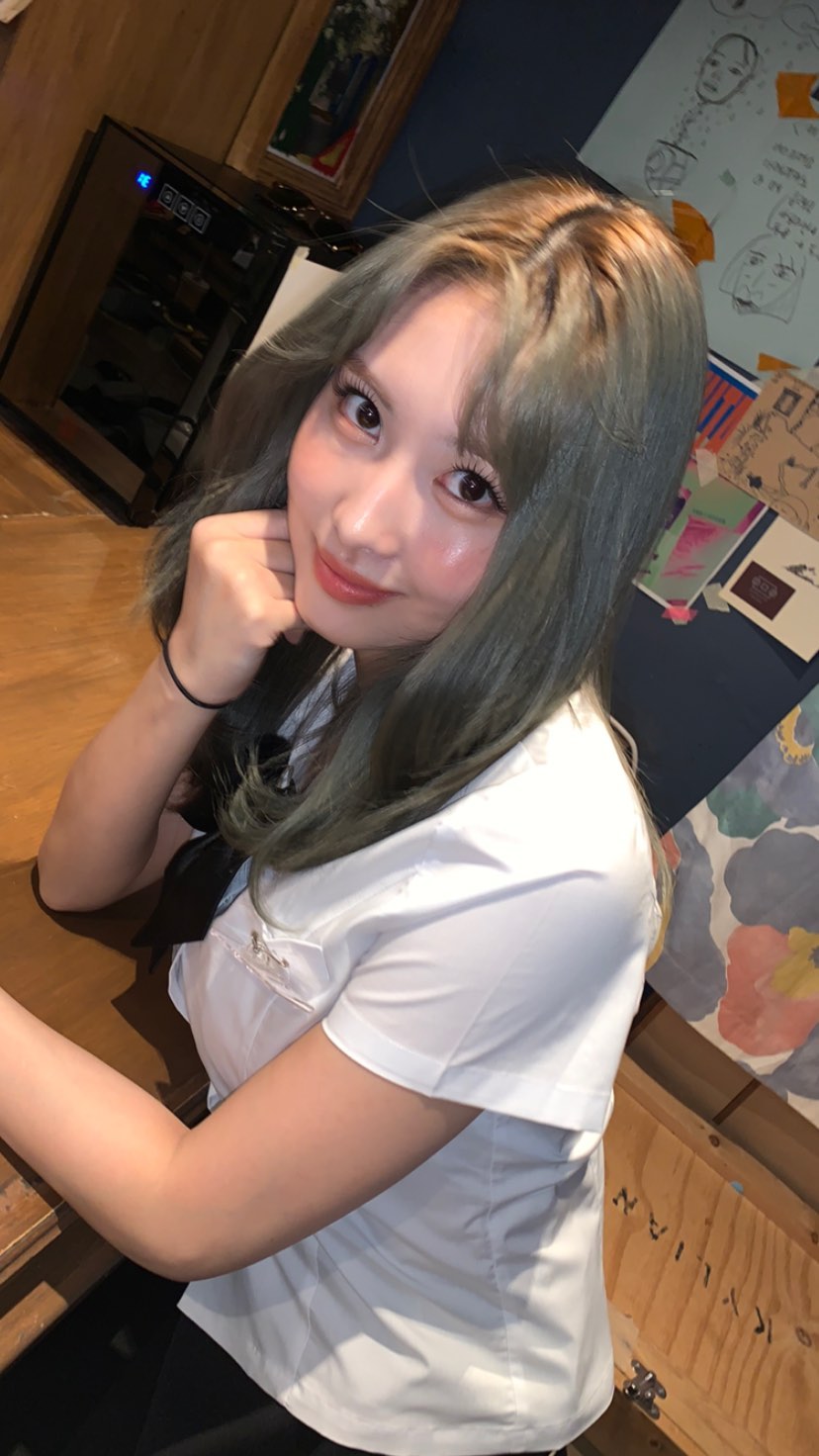 모모(MOMO) 이미지