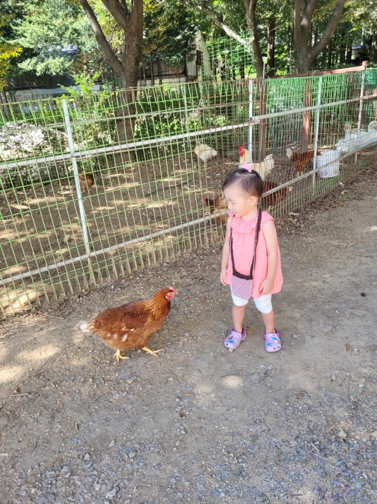 달구지농원 이미지