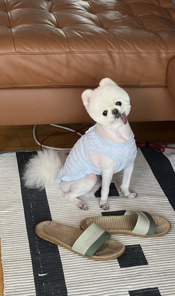 보스턴샐러드하우스평내 이미지
