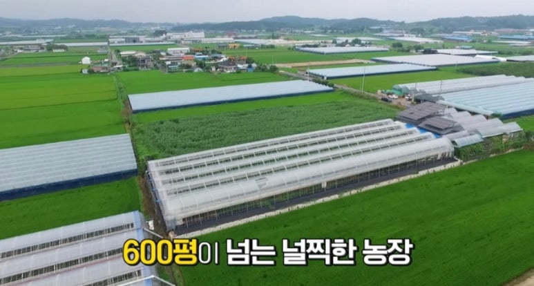 청두리 이미지
