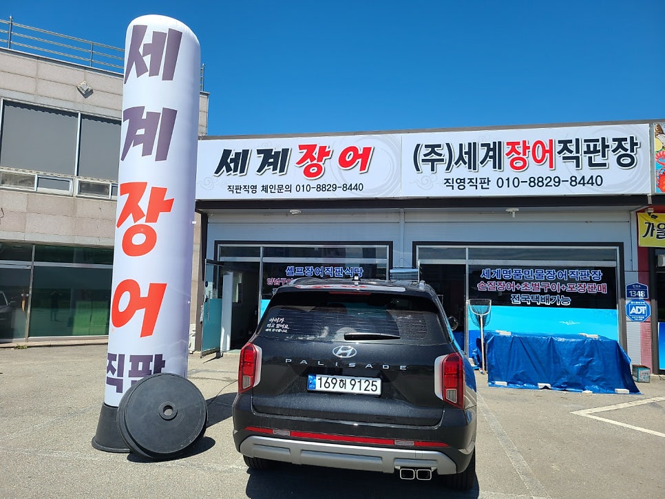 주 세계장어 이미지