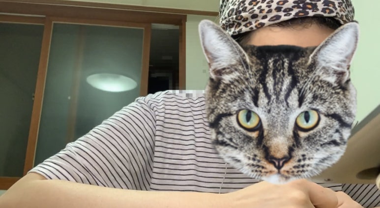 요꼬마꼬 이미지