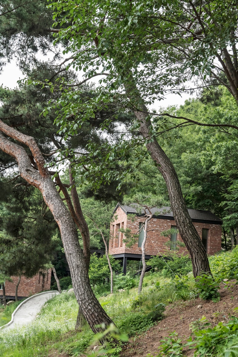 라비(La Vie) 이미지