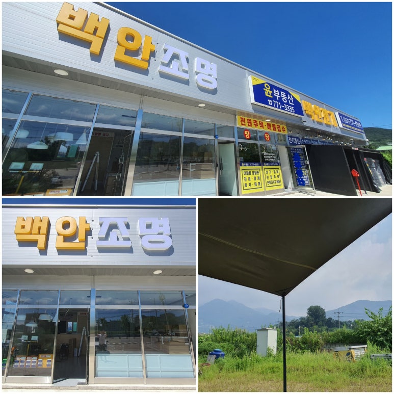 백안전기 이미지