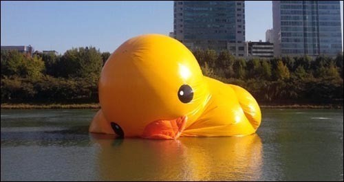 테니스러버 이미지