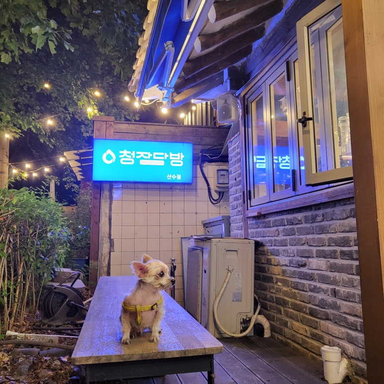 산수다방 이미지